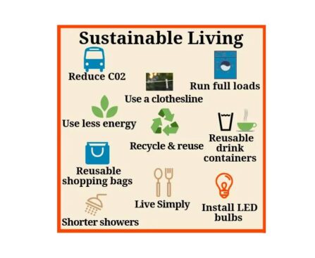 sustainable living